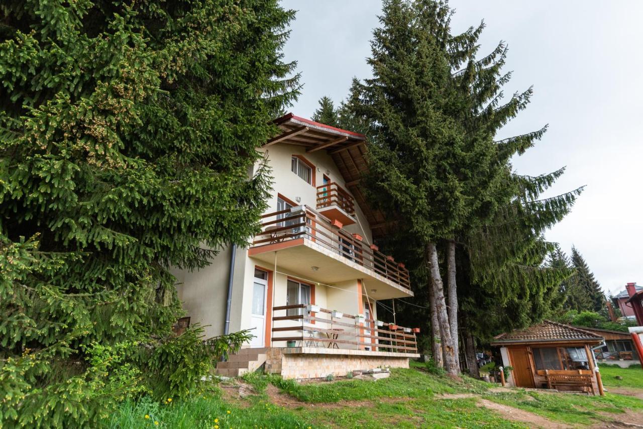 Orlino Holiday Park Szarnica Kültér fotó