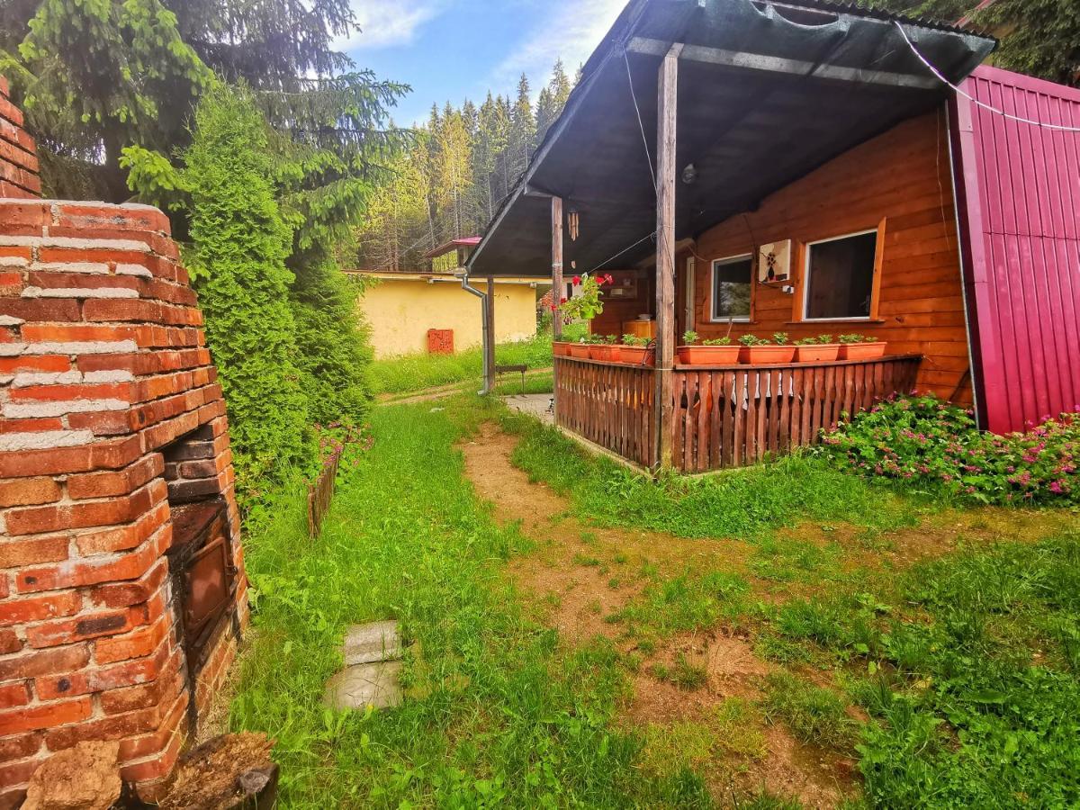 Orlino Holiday Park Szarnica Kültér fotó