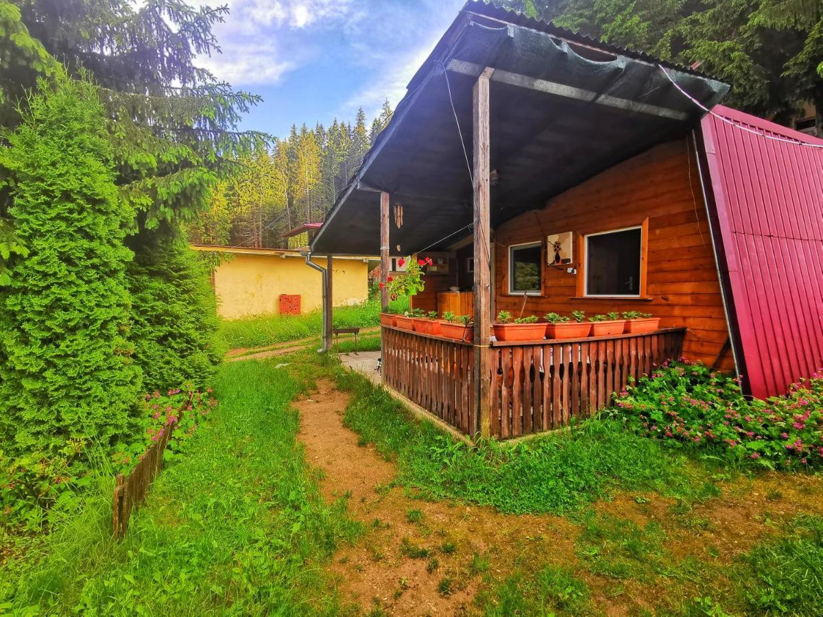 Orlino Holiday Park Szarnica Kültér fotó
