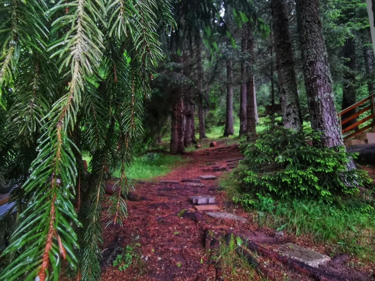 Orlino Holiday Park Szarnica Kültér fotó