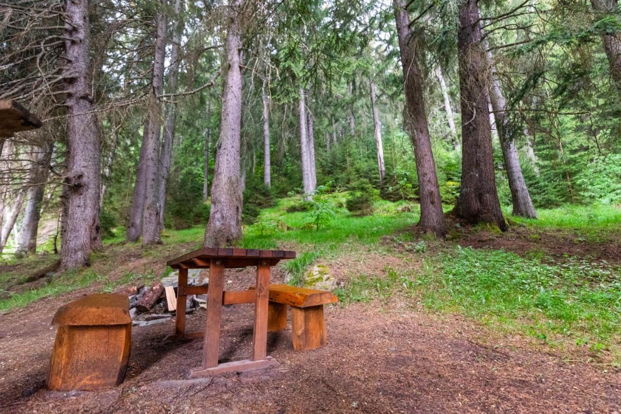 Orlino Holiday Park Szarnica Kültér fotó