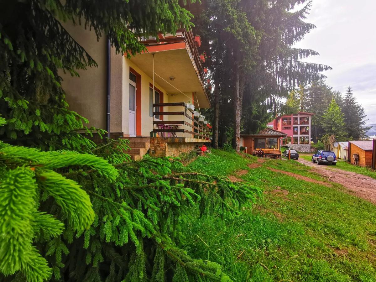 Orlino Holiday Park Szarnica Kültér fotó